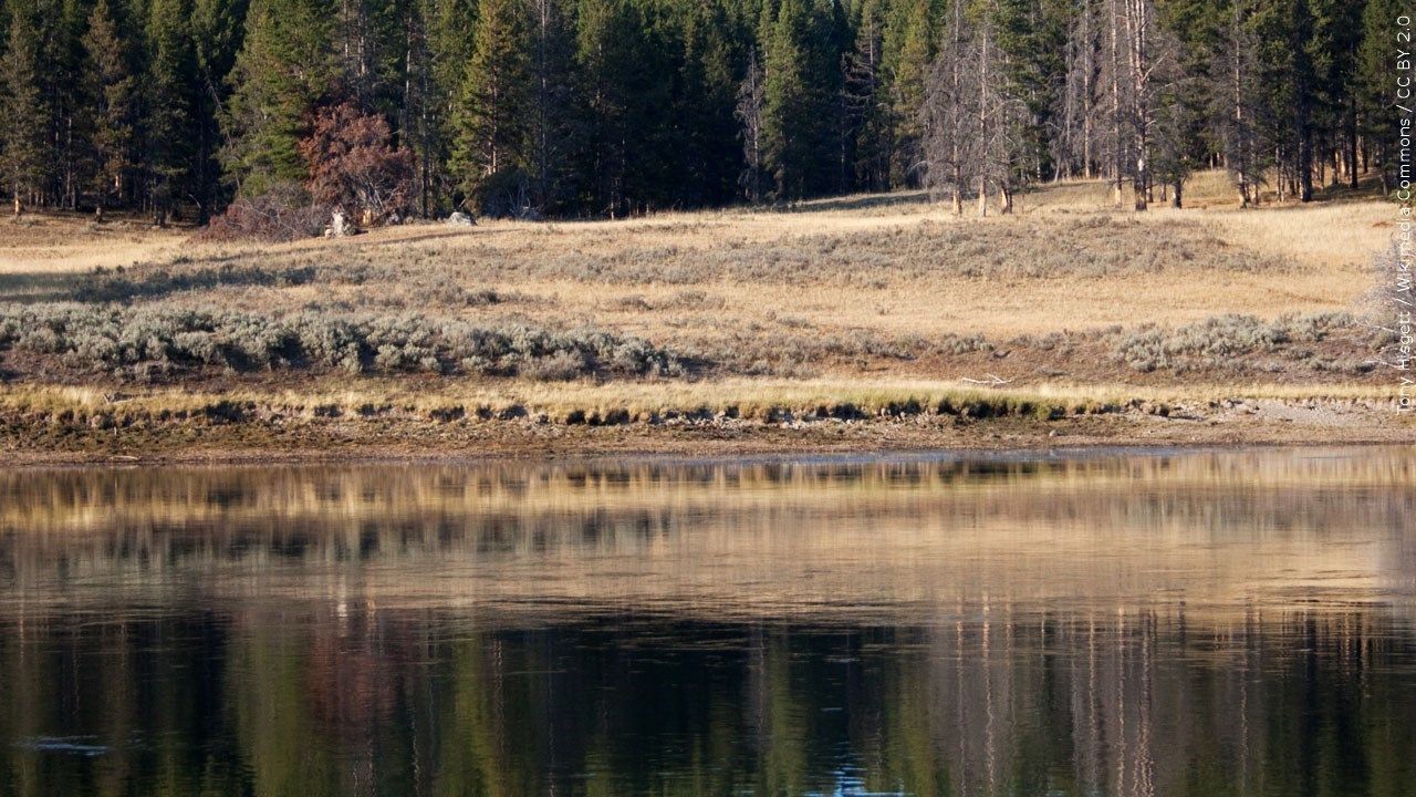 Freight Train Plunges Into Montana’s Yellowstone River as Bridge