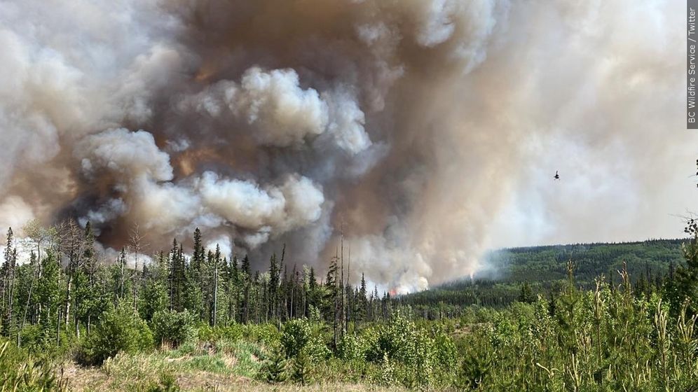 Wildfire in Dawson Creek Zone of British Columbia