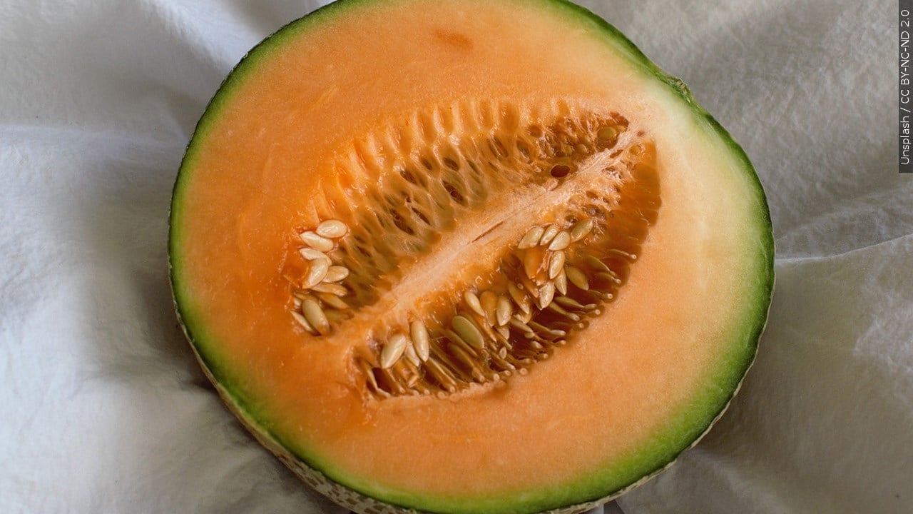 FDA Expands Cantaloupe Recall After Salmonella Infection Rate Doubles ...