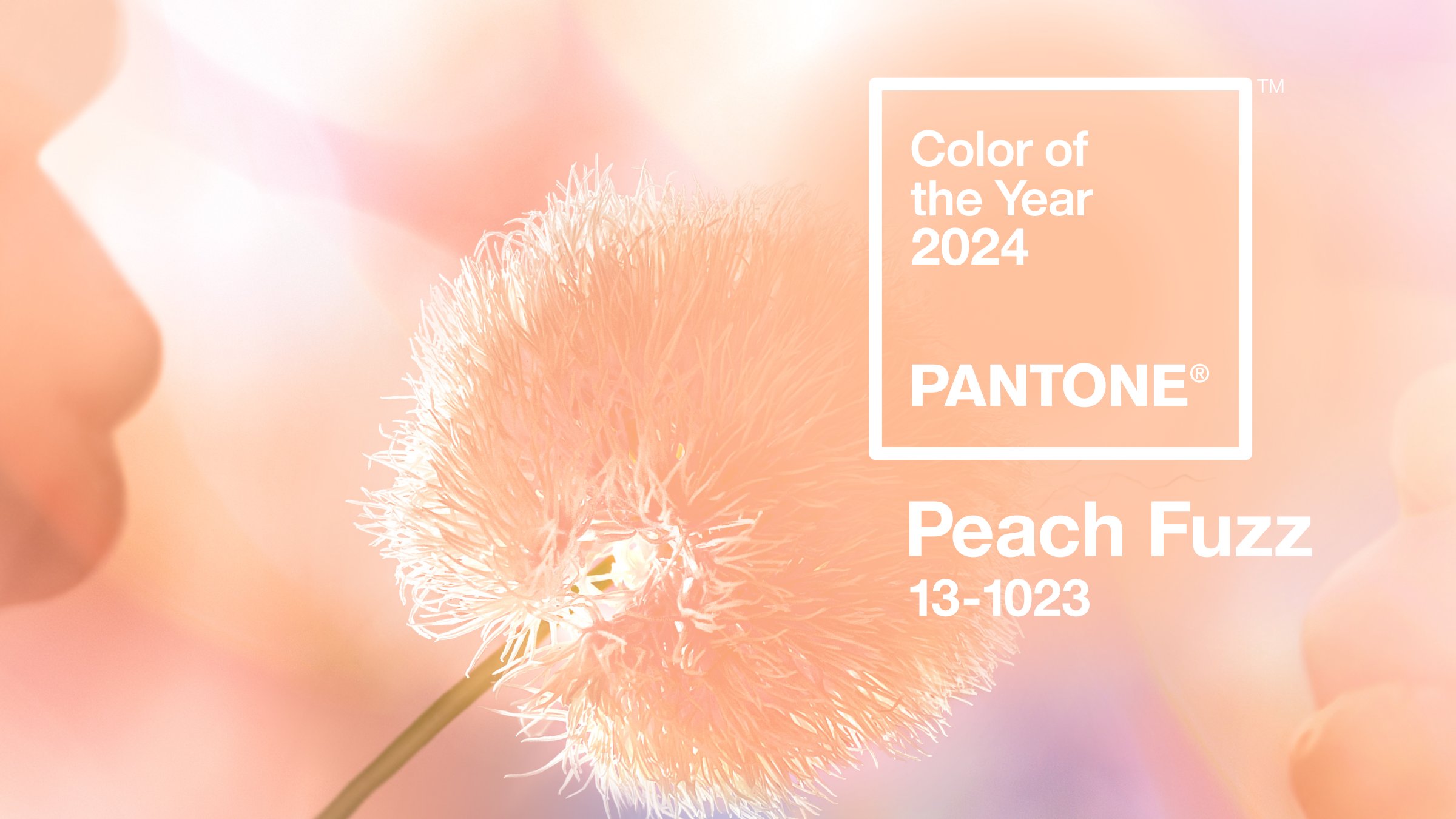 Pantone Selects Peach Fuzz as its 2024 Color of the Year