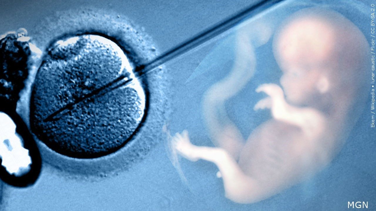 Alabama Lawmakers Working on Bills to Protect IVF Fertility Services
