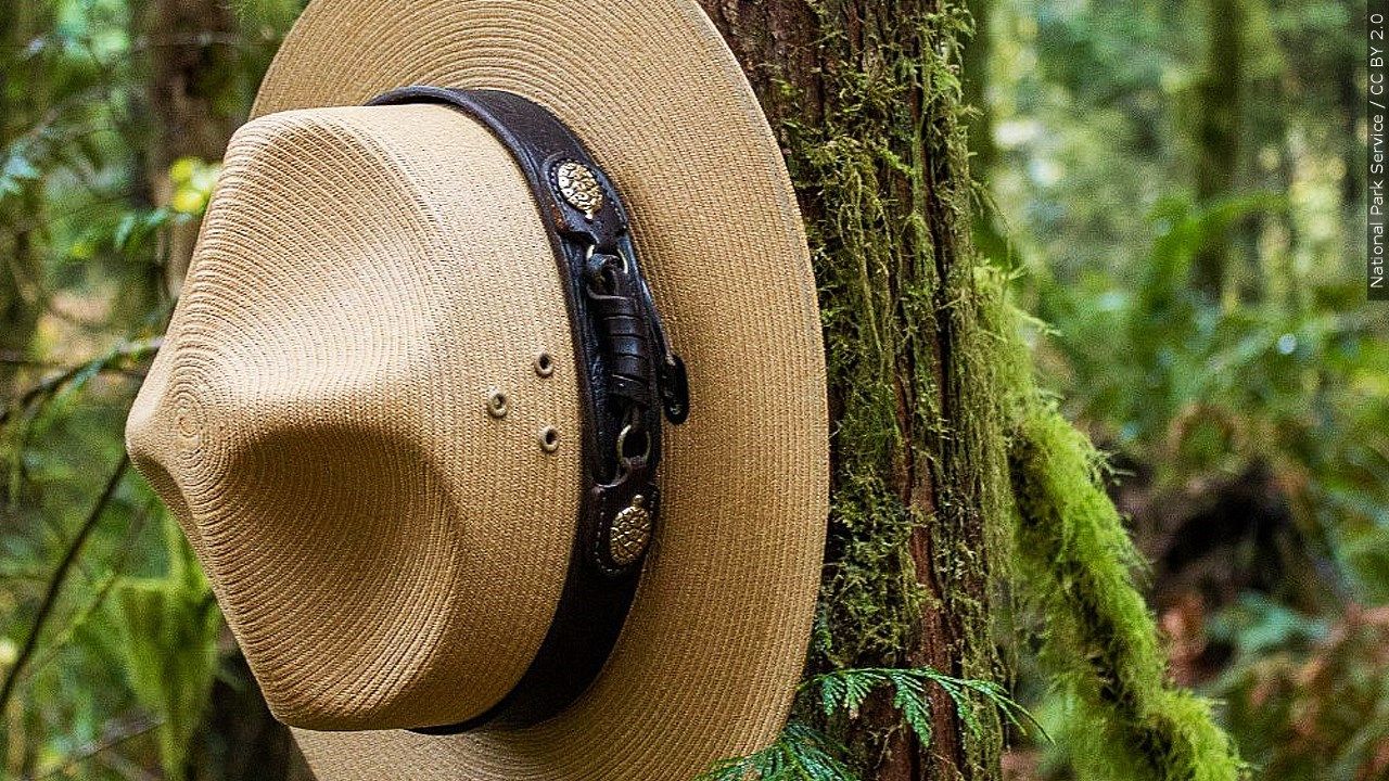 National Park Service ranger hat