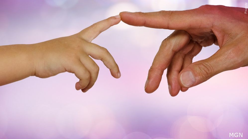 Child's hand touches adult's hand