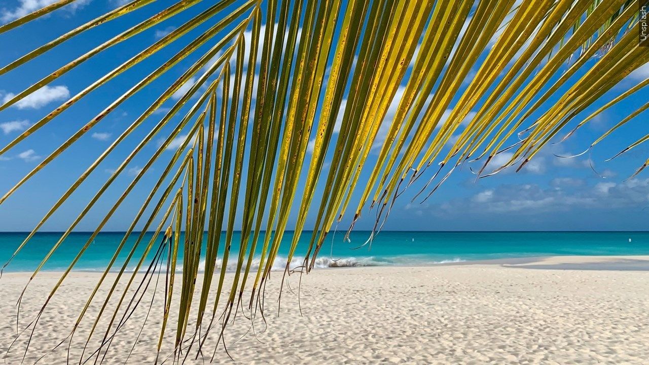 Best Summer Beaches in the US