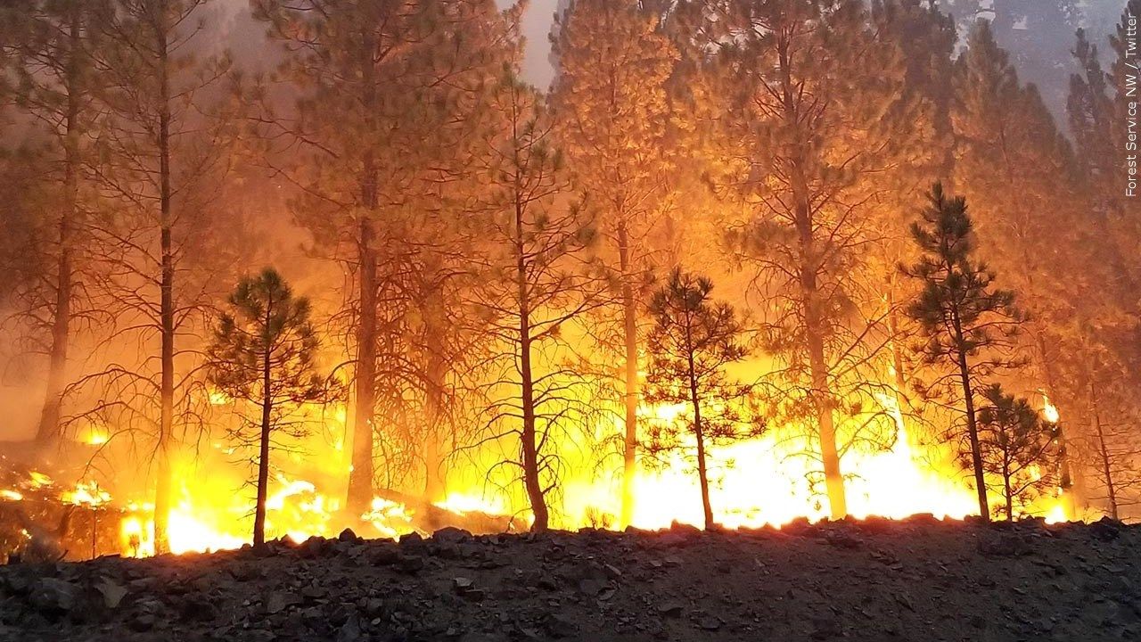 Homes Burn as Flames Descend on Southern California Neighborhood
