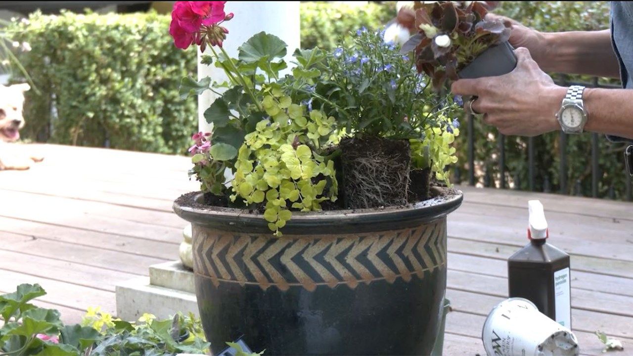 Seasonal Planter Design With Jill of All Trades