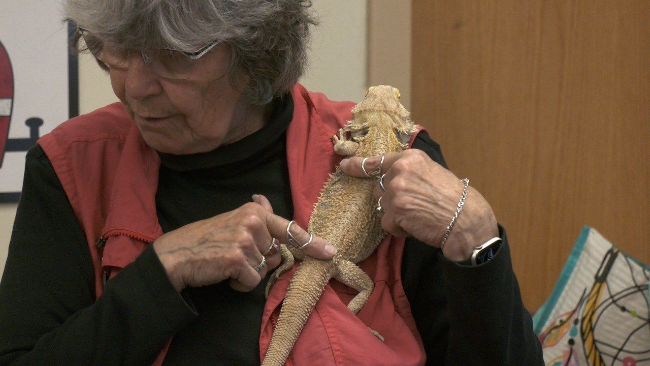 0702DVA Reptile PKG.mp4