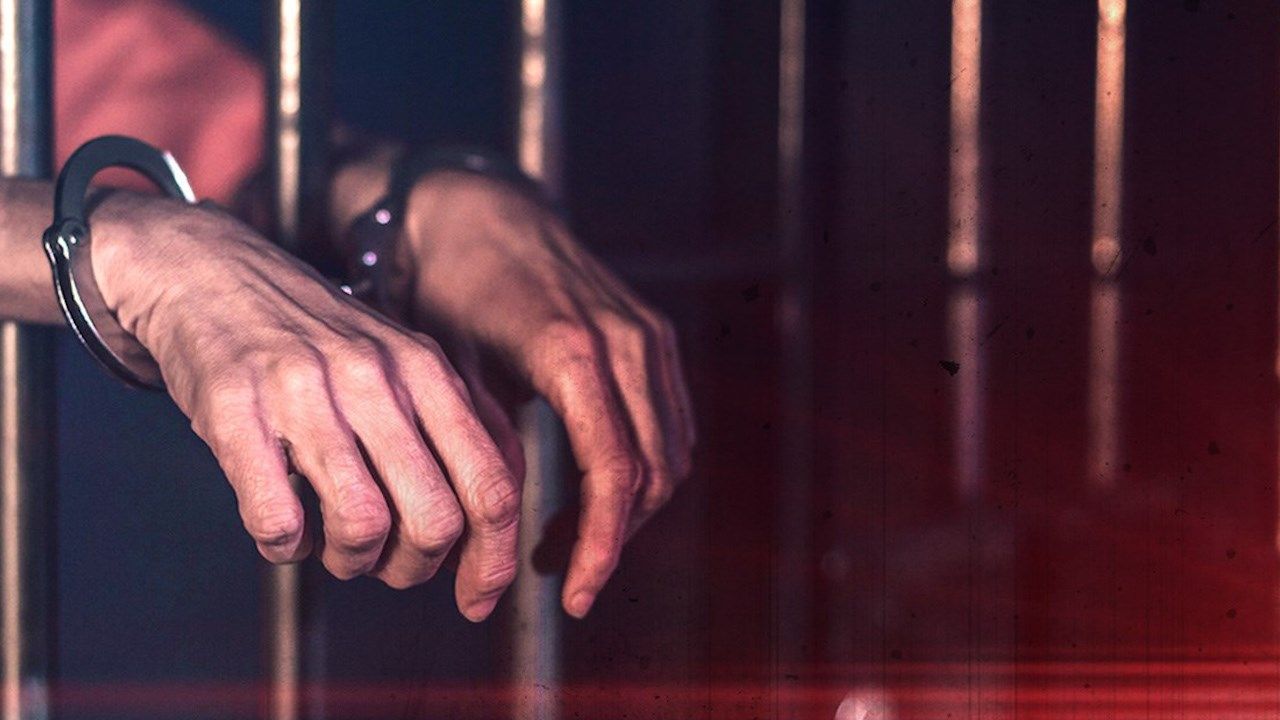 Extreme Animal Cruelty Arrest