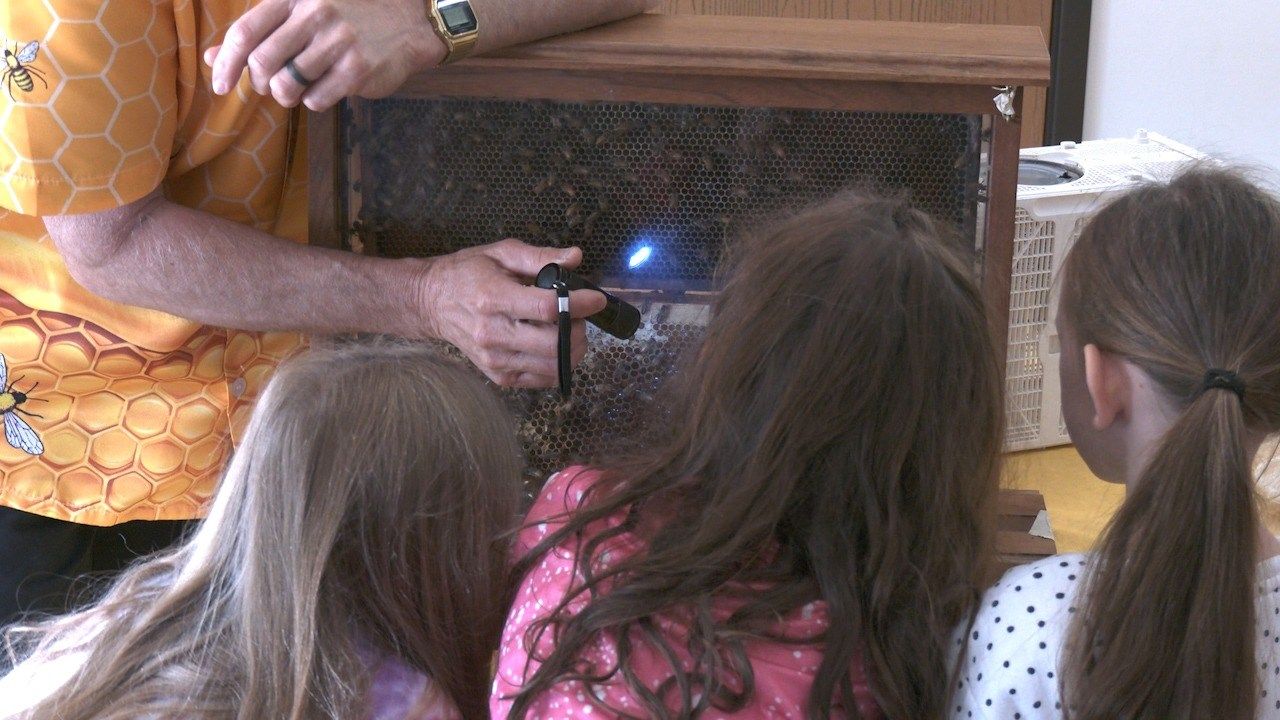 Learning About All Things Bees