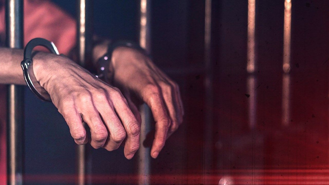 Child Sexually Abusive Activity Arrest